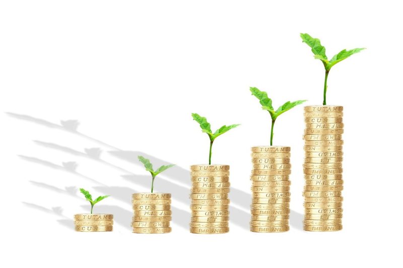 Thriving in Forex Trading: Your Guide to Success on a Budget